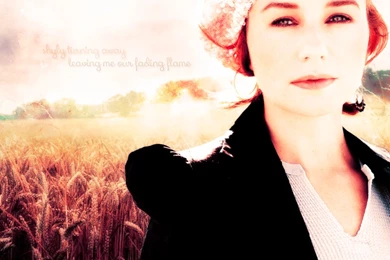 Tori Amos Wallpapers   Sweet Sangria By Blackxwinter On DeviantArt