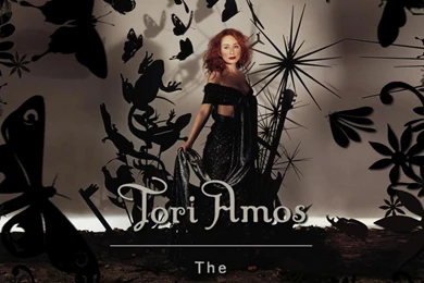 Tori Amos Beekeeper In Black Wallpapers   (