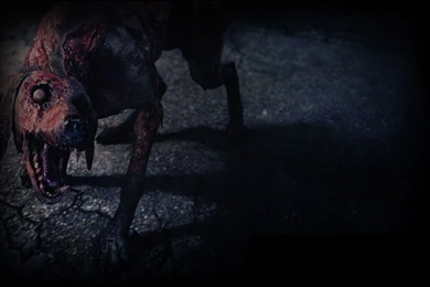 Steam Community Market :: Listings For 221040 Zombie Dog