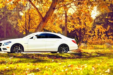 Обои Снеговик Wallpapers 168027