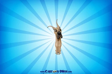 The Beautiful Great Dane   Great Danes Wallpapers (14115113)   Fanpop