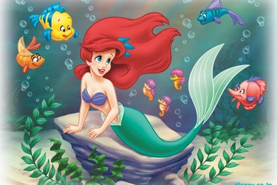 Ariel Wallpapers   Disney Princess Wallpapers (6226952)   Fanpop