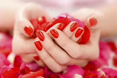 WITH LOVE FOR LUIZA DREAMER GIRL WALLPAPER   (