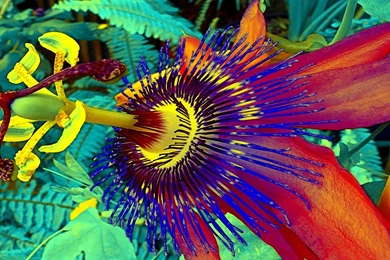 Friendship Love >> HD Wallpaper, Get It Now!