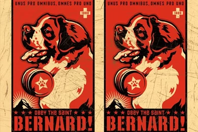 Saint Bernard Wallpapers