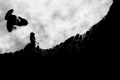 Dwarf Fortress Wallpapers?