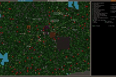 Dwarf Fortress – The Ultimate Story Creator
