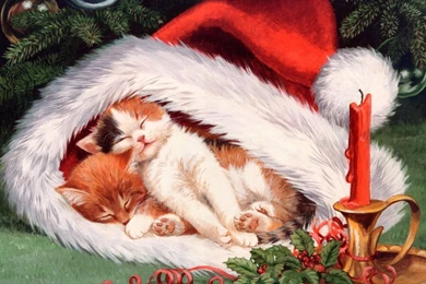 Christmas Kittens Cate Ornament Candle Hat Kitten Paws Cats High ...