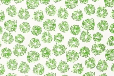 Alexa Stevenson Interior Decoration