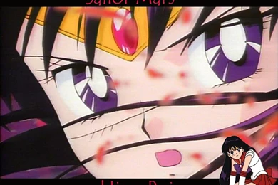 Guardian Spirits   Sailormoon Wallpapers