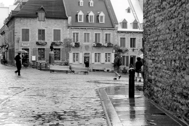 4609_Rain on the cobblestone Black and white wallpaper.jpg