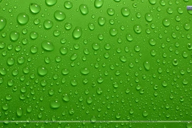Drops On Green Backgrounds Wallpapers