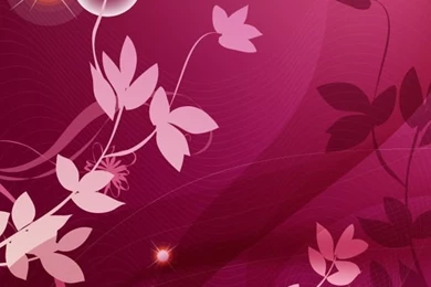 Pink iPhone 5s Wallpapers