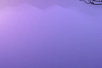 640x1136 Purple Water & Dark Wood Iphone 5 Wallpapers