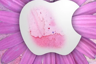 Apple iPhone 5 Wallpapers For Free