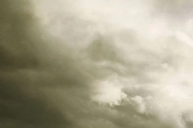 Walking Dead Carl iPhone 5 Parallax Wallpapers (744x1392)