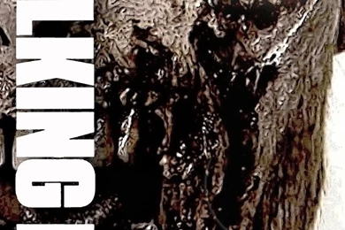 iPhone 6   TV Show/The Walking Dead   Wallpapers ID: 591755