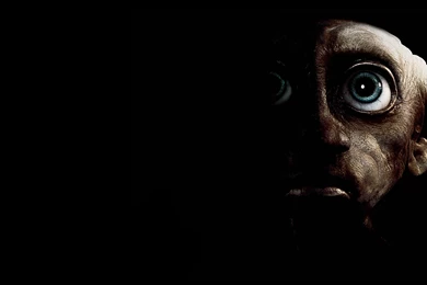 Wallpapers Harry Potter Dobby Wallchan 1920x1080