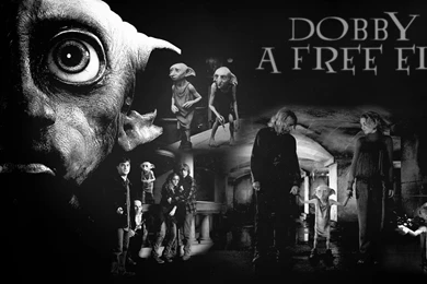 Dobby Harry Potter Photo (17164843) Fanpop