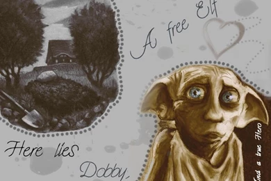 Dobby Wallpapers   Dobby The House Elf Photo (18010588)   Fanpop