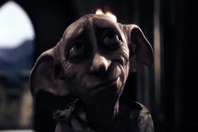 Dobby The House Elf