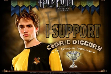 Wallpaper: Hunger Games Wallpapers Deviantart