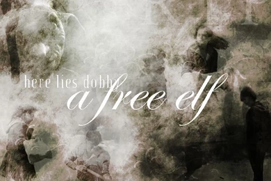 Dobby   A Free Elf By Agreatershadow On DeviantArt