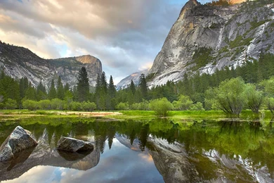 Kane Blog Picz: Dobby Hd Wallpapers