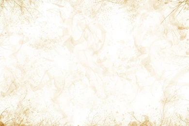 Swirly Framed Paper Texture Wallpapers   Abstract Wallpapers