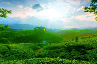 Beautiful Wallpapers