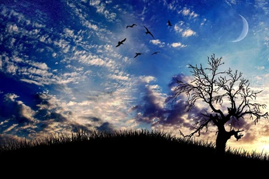 Beautiful Nature Wallpapers Desktop   Latest Wallpapers