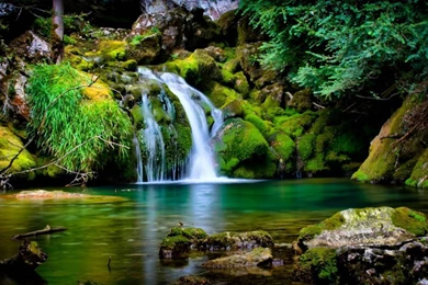 Full Size Nature Wallpapers Wallpapers HD Fine