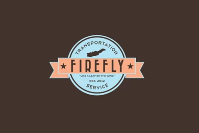 Firefly Computer Wallpapers Desktop Backgrounds 1920×1080 Id ...