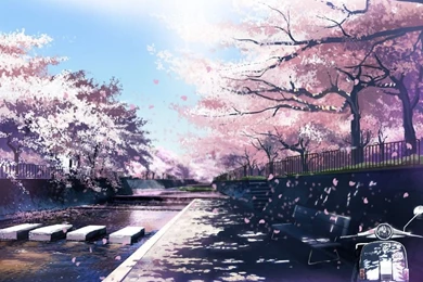 Sakura Backgrounds   Wallpapers Cave