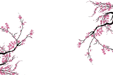 Sakura Backgrounds   Wallpapers Cave