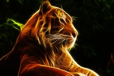 Petition Free Expression Of Chromebook Backgrounds At Princeton ...