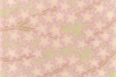Sakura Backgrounds 2012 By Nekomarunosuke On DeviantArt