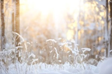 Link2ICT Newsletter   January 2013 Edition