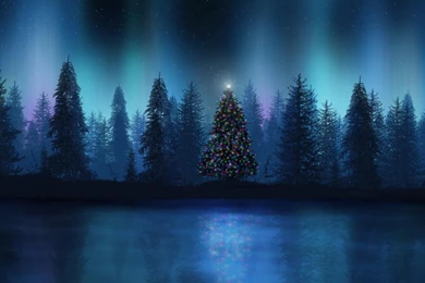 Download Wallpapers Aurora At Christmas Night (1600 X 900 ...