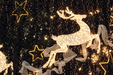 1680*1050 Widescreen Christmas Night View & Christmas Night Light ...