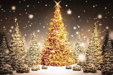 Christmas Lights Widescreen Desktop Wallpapers