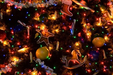 1680*1050 Widescreen Christmas Night View & Christmas Night Light ...