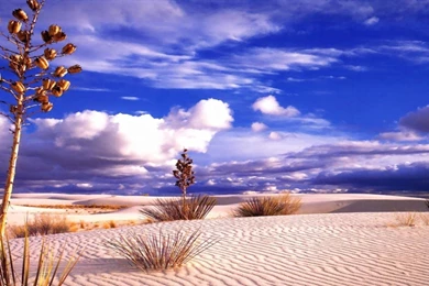 Best HD Nature Desert Theme Wallpapers.jpg