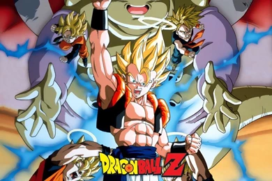 Pictures Of Dragon Ball Z Characters   Widescreen HD Wallpapers