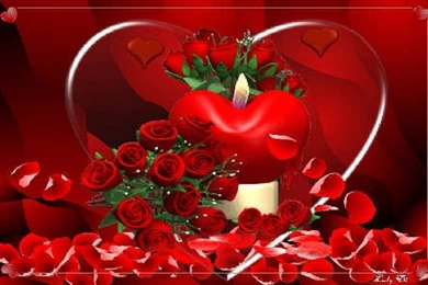 Beautiful love red heart free hd wallpapers