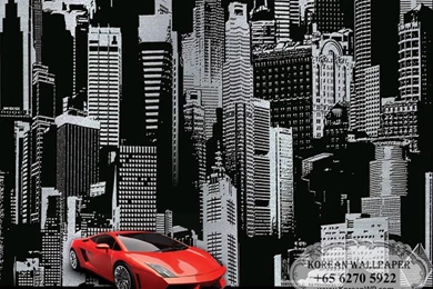 Phoenix 76101   Singapore Urban City Wallpapers From Korea