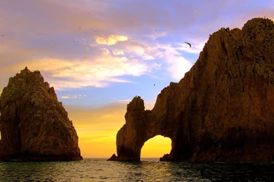Cabo San Lucas, B.C.S.