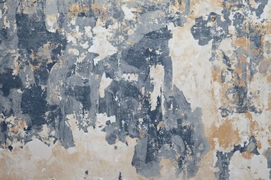 Wallpapers And Wall Murals