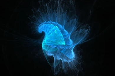 The Official JWildfire Blog