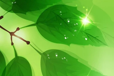 Free Android Wallpapers For Samsung Galaxy Y 2.jpg